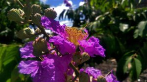 子どもがインフルのときに飲めない場合の工夫は？