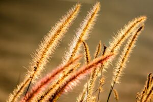 子どもがインフルエンザの時に喉に優しい食べ物は何ですか？