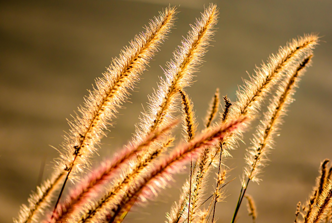 子どもがインフルエンザの時に喉に優しい食べ物は何ですか？