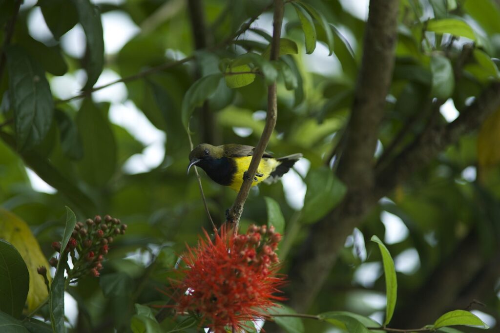 子どもがインフルエンザの時に食事で禁止すべき食べない方がいい食品は？