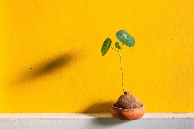 鍋ひとつで子どもが発熱したときのおすすめごはんは？