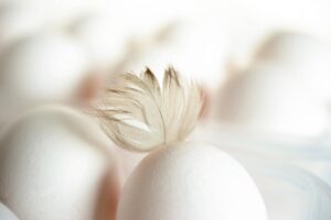 鶏ささみを使った子ども向けインフルエンザ対策レシピは？