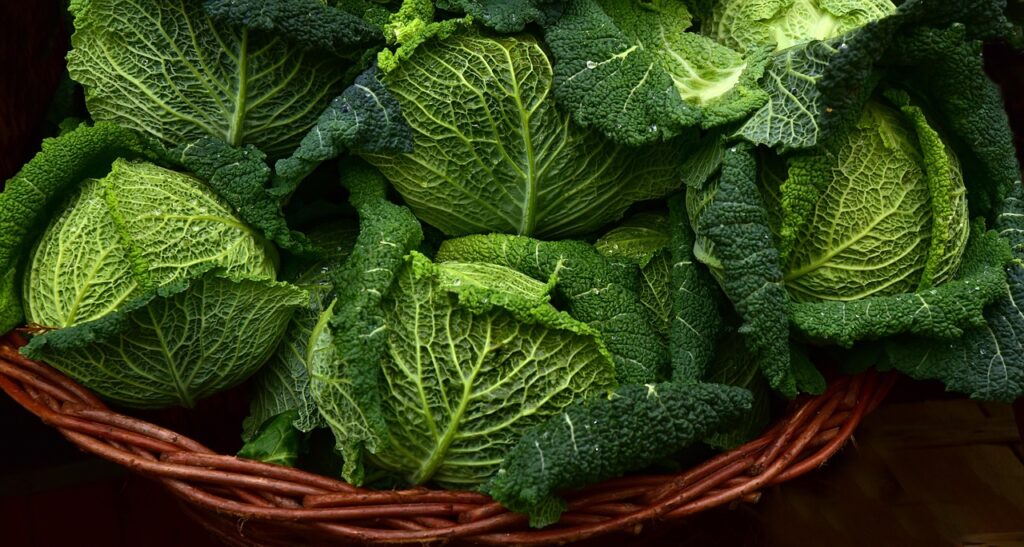 子どもが喜ぶ発熱時に最適な野菜ポタージュのレシピは？