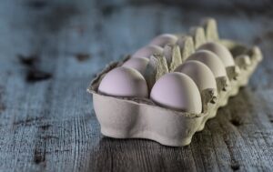 子どもが発熱時に控えるべき乳製品は何ですか？