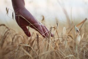 子どもが発熱時に食べていいシリアルは？